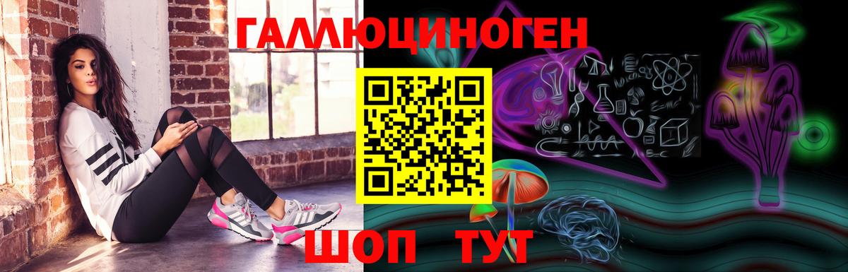 Зеленогорск  Псилоцибиновые грибы мухоморы  Псилоцибиновые грибы Psilocybine cubensis  Вход с VPN 