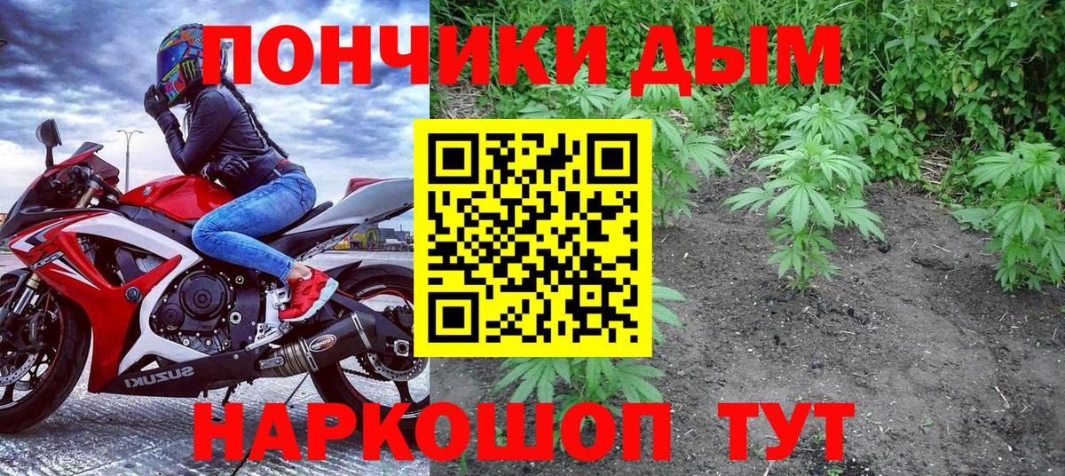 Каннабис семена Зеленогорск